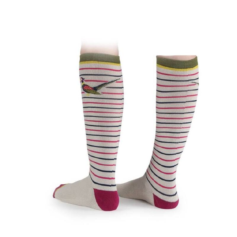 Shires Everyday Childrens Socks 2 Pack - Pheasant-2